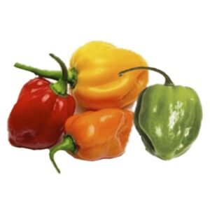 Ají Habanero x Lb