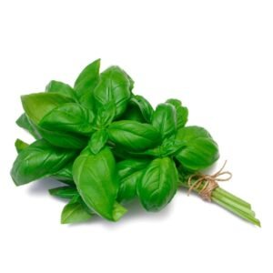 Albahaca x Lb
