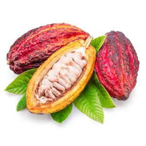 Cacao x Lb