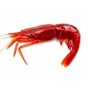 Camarón de Caparón Rojo x Lb