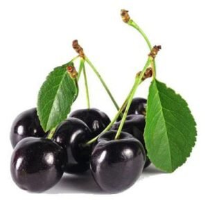 Cereza Negra x Lb