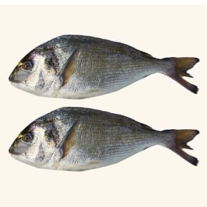 Dorada x Lb