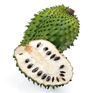 Guanabana x Lb