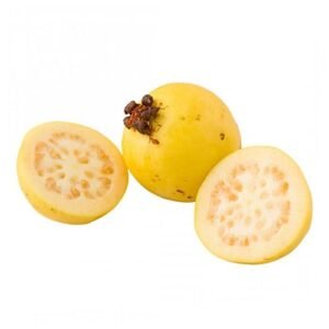 Guayaba Agria x Lb