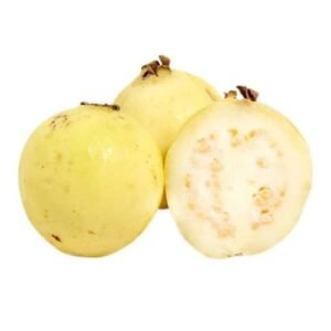 Guayaba Blanca x Lb