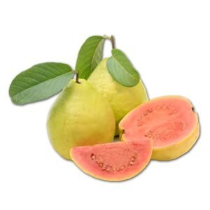 Guayaba Roja x Lb