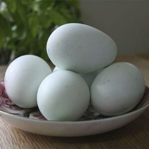 Huevos de Pato  x Lb