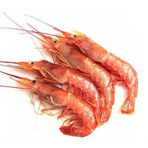 Langostino x Lb
