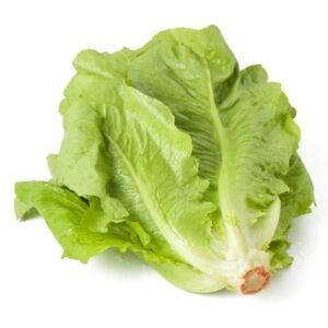 Lechuga x Lb