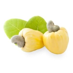 Marañón Amarillo x Lb