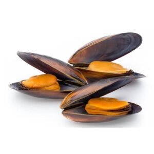 Mejillones x Lb