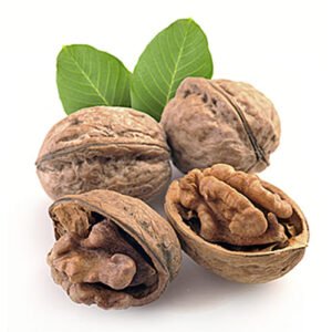 Nueces x Lb