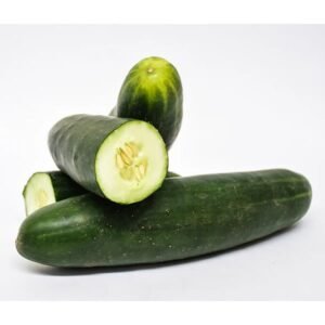 Pepino Cohombro x Lb