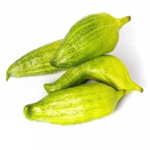 Pepino de Guiso x Lb