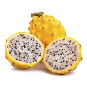 Pitahaya Amarilla x Lb