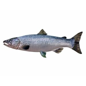 Salmón x Lb