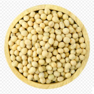 Soya x Lb