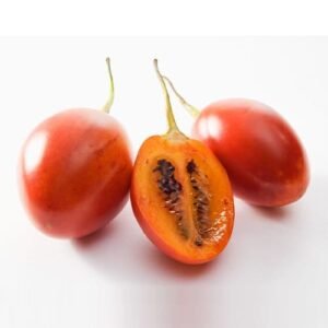 Tomate de Árbol Rojo x Lb